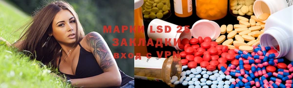 стафф Новодвинск