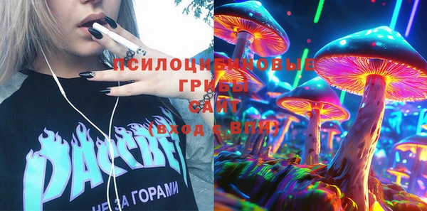стафф Новодвинск