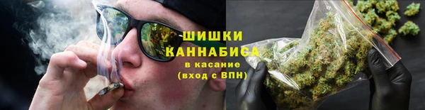 хмурый Арсеньев