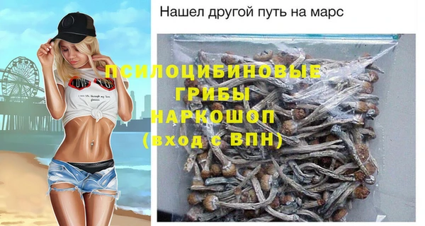 хмурый Арсеньев