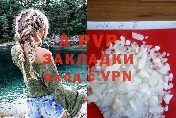 стафф Новодвинск