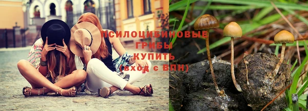 прущая мука Баксан