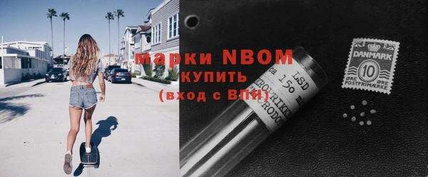 крисы Новокубанск